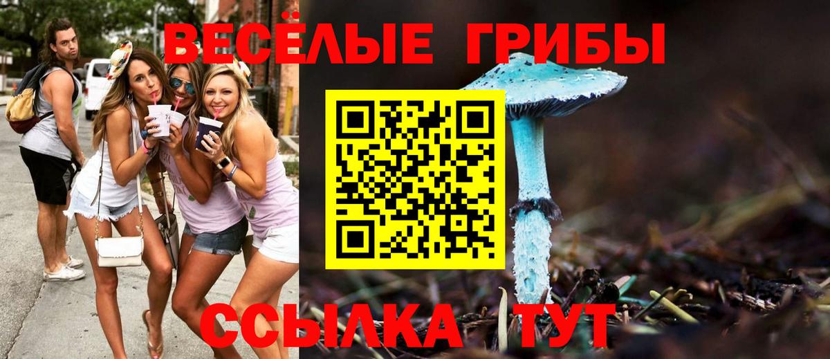 Усть-Джегута  Галлюциногенные грибы мицелий  Вход с VPN  Псилоцибиновые грибы ЛСД 